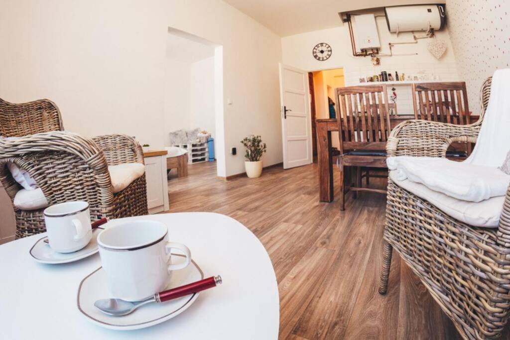 Stylovy Apartman V Centru Nachoda ภายนอก รูปภาพ